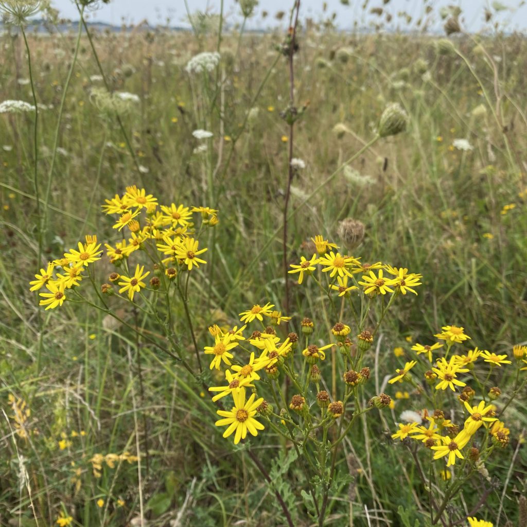 Autumn, is that&nbsp;you?